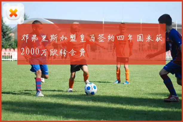邓弗里斯加盟皇马签约四年国米获2000万欧转会费