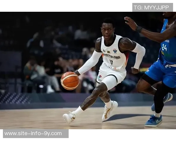 尼克斯对施罗德表现出浓厚兴趣国王队数据分析引发关注